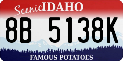 ID license plate 8B5138K