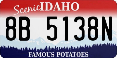 ID license plate 8B5138N
