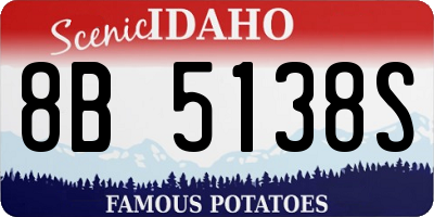 ID license plate 8B5138S