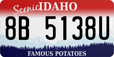 ID license plate 8B5138U