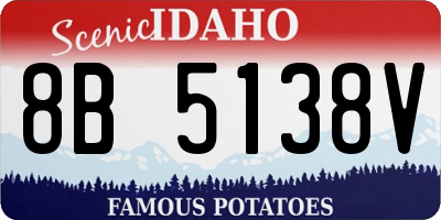 ID license plate 8B5138V