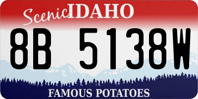 ID license plate 8B5138W