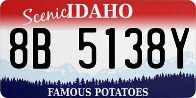 ID license plate 8B5138Y