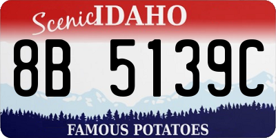 ID license plate 8B5139C