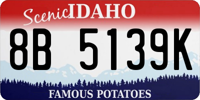 ID license plate 8B5139K