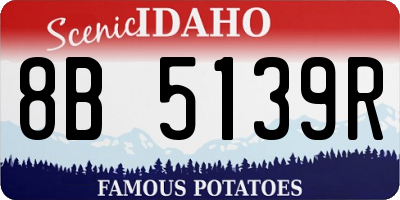 ID license plate 8B5139R