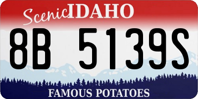 ID license plate 8B5139S