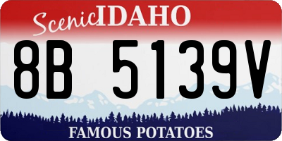 ID license plate 8B5139V