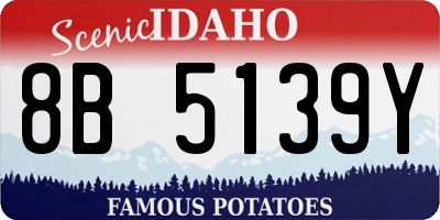 ID license plate 8B5139Y