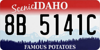 ID license plate 8B5141C