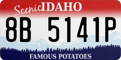 ID license plate 8B5141P