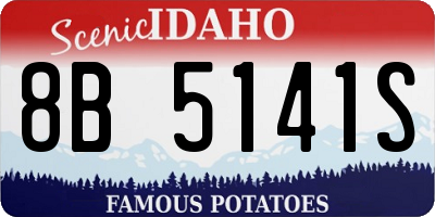 ID license plate 8B5141S