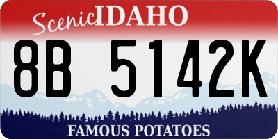 ID license plate 8B5142K