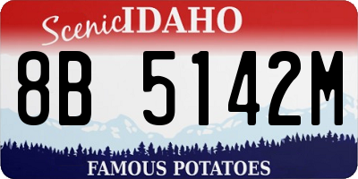 ID license plate 8B5142M