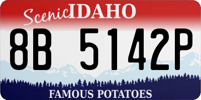 ID license plate 8B5142P