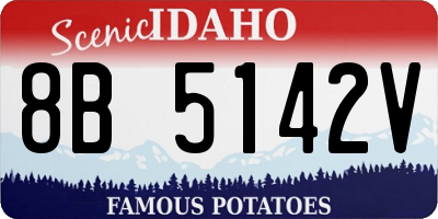 ID license plate 8B5142V