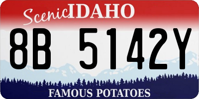 ID license plate 8B5142Y