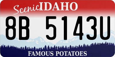 ID license plate 8B5143U