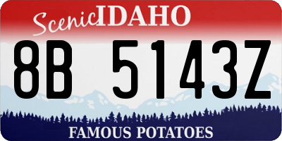 ID license plate 8B5143Z