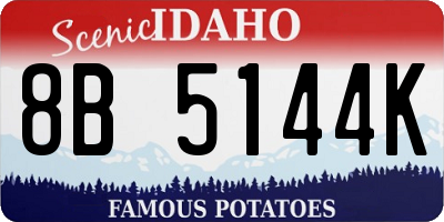 ID license plate 8B5144K