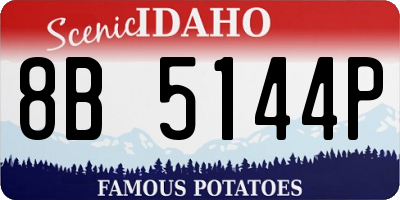 ID license plate 8B5144P
