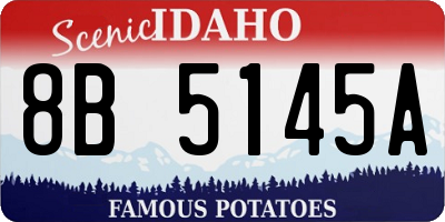 ID license plate 8B5145A