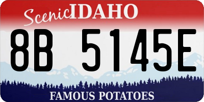 ID license plate 8B5145E