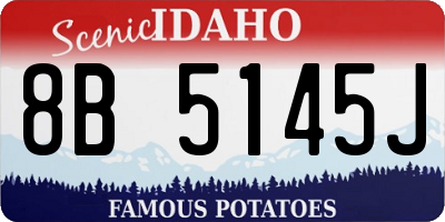 ID license plate 8B5145J