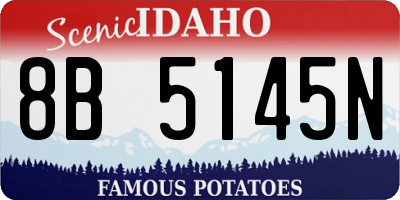 ID license plate 8B5145N