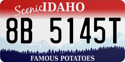 ID license plate 8B5145T
