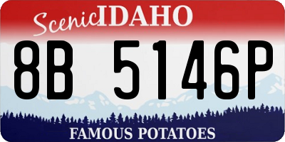 ID license plate 8B5146P