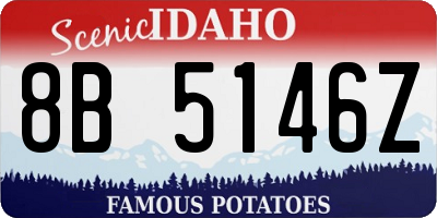 ID license plate 8B5146Z