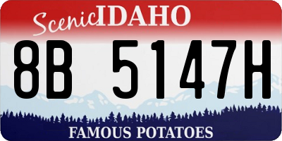 ID license plate 8B5147H