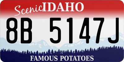 ID license plate 8B5147J