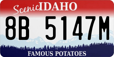 ID license plate 8B5147M