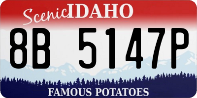 ID license plate 8B5147P