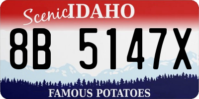 ID license plate 8B5147X