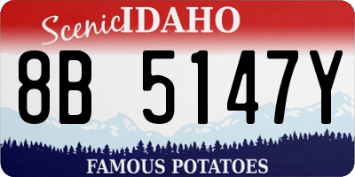ID license plate 8B5147Y