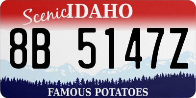 ID license plate 8B5147Z