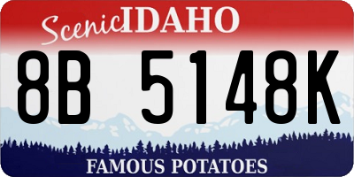 ID license plate 8B5148K