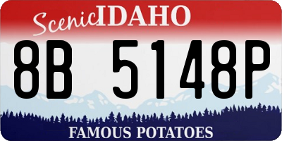 ID license plate 8B5148P