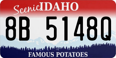 ID license plate 8B5148Q