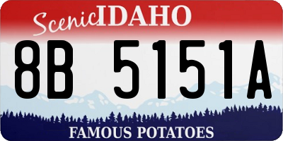 ID license plate 8B5151A
