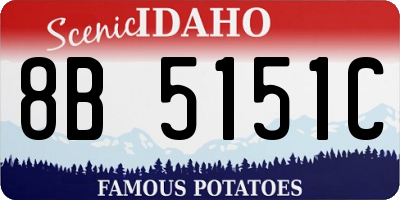 ID license plate 8B5151C