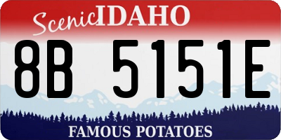 ID license plate 8B5151E