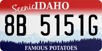 ID license plate 8B5151G