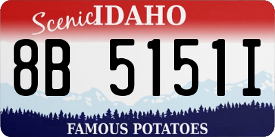 ID license plate 8B5151I