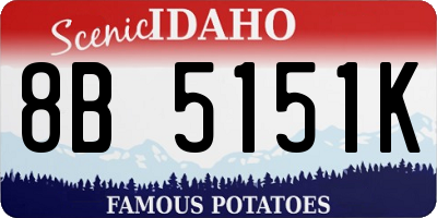 ID license plate 8B5151K