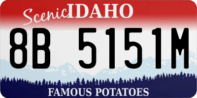 ID license plate 8B5151M