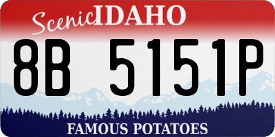 ID license plate 8B5151P
